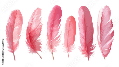 Elegance Pink Feathers on White Background Vector Collection