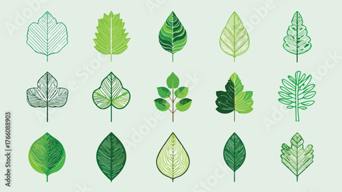 Green Leaf Vector Icon Set for Nature Designs