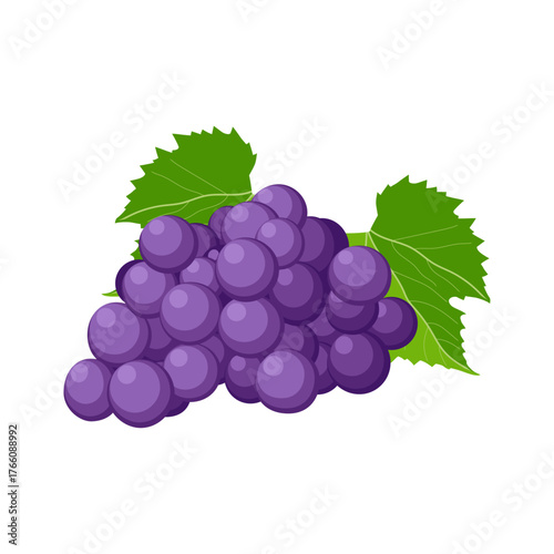 Obraz na plátně bunch of grapes isolated on white