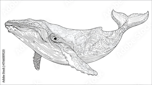 Black and White Coloring Page for Kids: Fun and Educational Vector Illustration