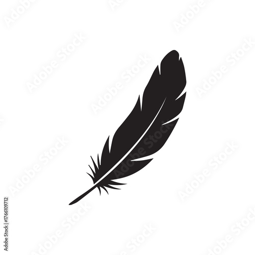 vector illustration of feather