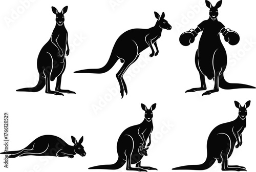 WebBlack silhouette illustrations of kangaroos in varied poses – jumping, boxing, sitting, lying down – stylized wildlife behavior and anatomy reference art