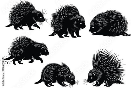 WebBlack silhouette illustrations of porcupines in varied poses – walking, sniffing, releasing quills – stylized wildlife anatomy and defensive behavior reference art