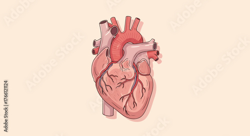 Detailed Anatomical Heart Illustration for Medical and Educational Purposes.