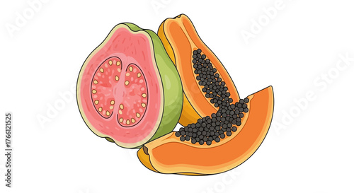 Vibrant tropical delights: papaya and guava in a detailed illustration