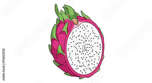 Captivating cross-section detail of a vibrant and exotic dragon fruit illustration