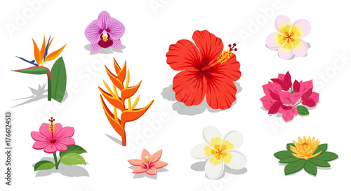 Collection of Tropical Flowers with Vibrant Colors on a White Background