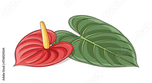 Elegant Anthurium Flower and Broad Leaf Composition, Tropical Flair