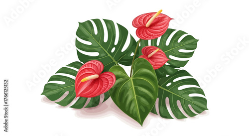 Exotic botanical arrangement with anthurium flowers and monstera leaves