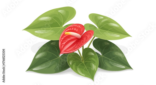 Vibrant Anthurium bloom surrounded by lush foliage on a clean white backdrop