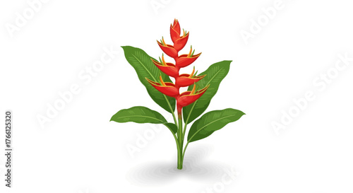 Vibrant heliconia flower against a plain background in a minimalist style