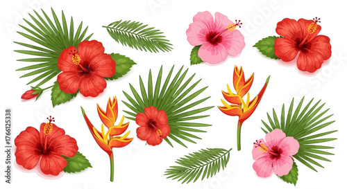 Tropical flower assortment with hibiscus and heliconia for summer decoration