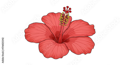 Vibrant hibiscus flower illustration showcasing delicate petals and stamen detail