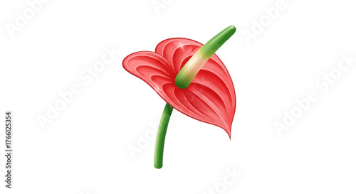 Vibrant Red Anthurium Flower Detailed Illustration on White Background