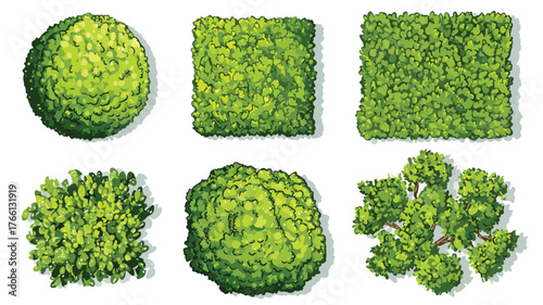 Top View Green Hedges Different Shapes Set Vector with Outlines