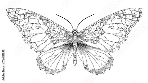 Black and White Coloring Page for Kids: Fun and Educational Vector Illustration