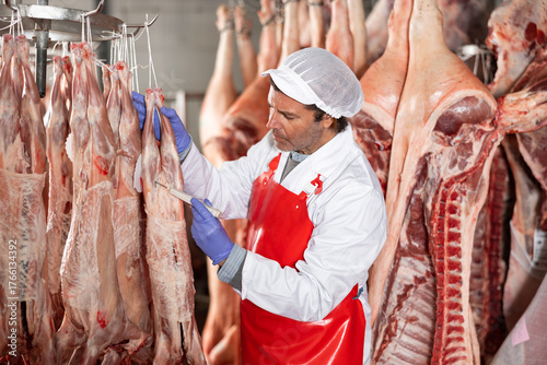 Professional butchery owner interested in maintaining quality of meat products, measuring temperature of chilled lamb carcasses hanging in cold storage room