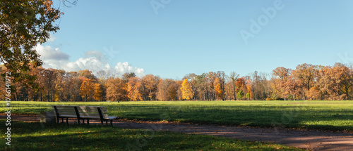 Peaceful autumn park scene with empty benches under the trees, a wide green meadow, and vibrant foliage in shades of yellow, orange, and red under a clear blue sky.