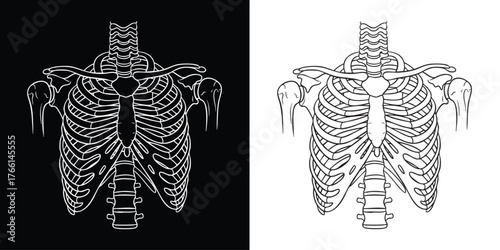 Intricate skeleton ribcage design in black and white for Halloween projects