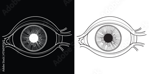 Striking graphic eye illustration in black and white for modern medical design