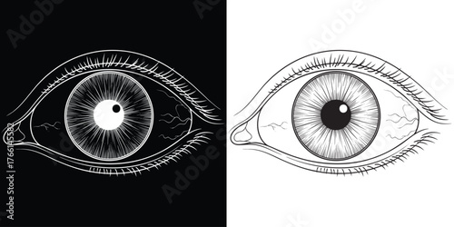 Striking eye illustration with contrasting black and white halves for impactful design