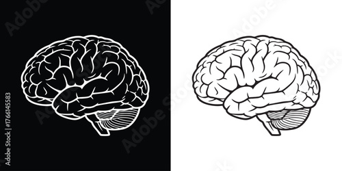 Explore human intelligence with this anatomical brain illustration on black and white