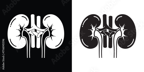 Organ illustration showing human kidneys in black and white for medical use