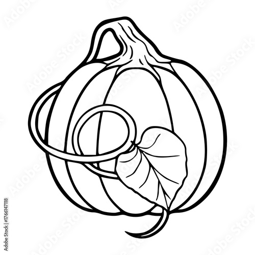 simple autumn pumpkin with leaf and vine outline illustration