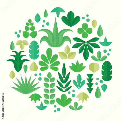 Plant variant with circular leaves 