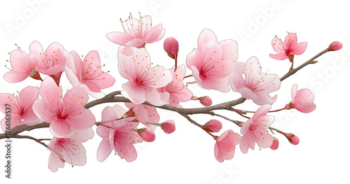 Wallpaper Mural A delicate pink cherry blossom branch in full bloom, showcasing vibrant flowers and buds, representing the beauty of spring flora. Torontodigital.ca