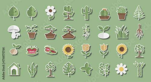 Collection of diverse plants and flowers arranged on a light green surface, showcasing nature's beauty in a simple and clean style.