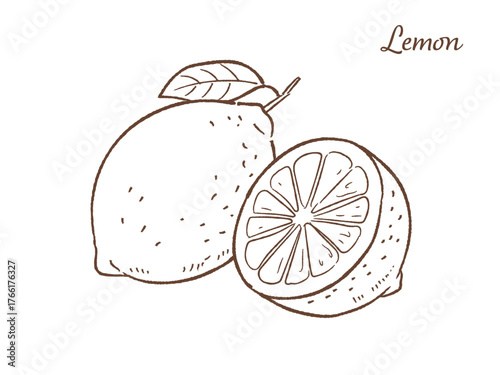 レモンの手描きベクターイラスト