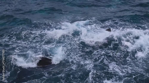 The powerful and dynamic sea of ​​AmamI