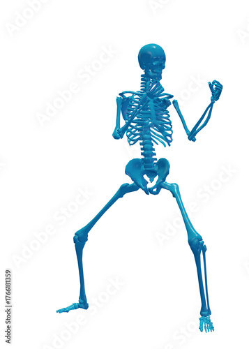 Human skeleton, 3D rendered, transparent background
