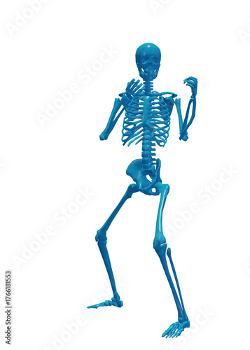 Human skeleton, 3D rendered, transparent background