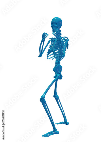 Human skeleton, 3D rendered, transparent background