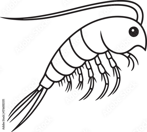 copepod_side_view_vector.eps