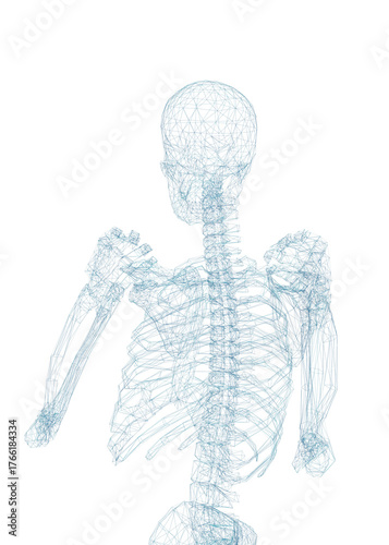 Human skeleton, 3D rendered, transparent background