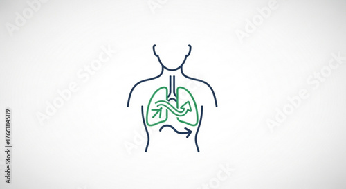Illustration of human lungs with air flowing in and out, representing respiratory system and breathing process