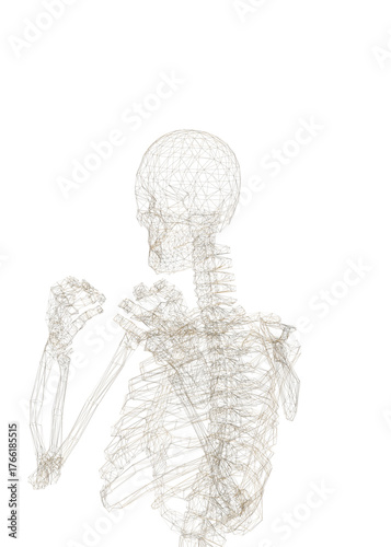 Human skeleton, 3D rendered, transparent background