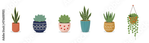 Succulent Plants in Decorative Pots Vector Illustration. Modern Flat Design Collection of Indoor Houseplants, Minimalist Botanical Art for Home Decor, Gardening, and Eco-Friendly Lifestyle Concepts