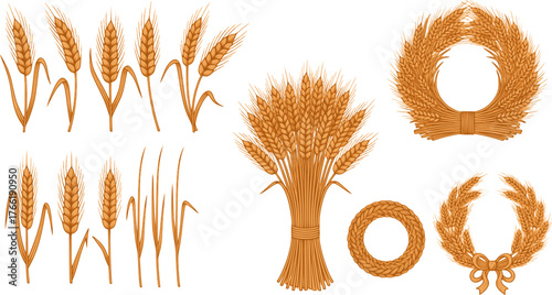 Agriculture. Wheat or barley ears. Harvest wheat grain, growth rice stalk and bread grains isolated vector set. EPS version.