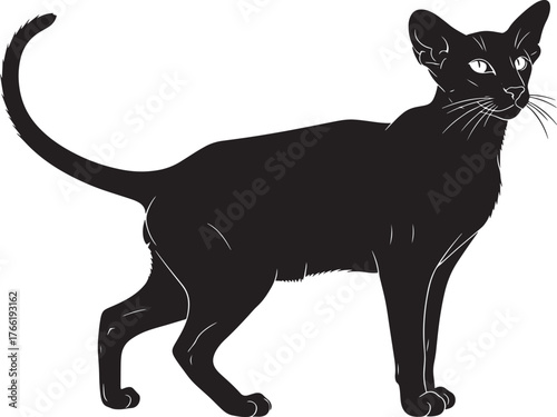 Elegant black cat silhouette standing alert with curled tail perfect for pet lovers and graphic design projects