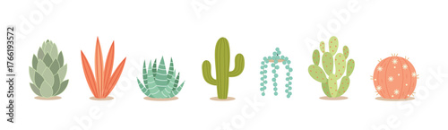 Succulent Plants in Decorative Pots Vector Illustration. Modern Flat Design Collection of Indoor Houseplants, Minimalist Botanical Art for Home Decor, Gardening, and Eco-Friendly Lifestyle Concepts