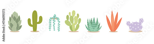 Succulent Plants in Decorative Pots Vector Illustration. Modern Flat Design Collection of Indoor Houseplants, Minimalist Botanical Art for Home Decor, Gardening, and Eco-Friendly Lifestyle Concepts