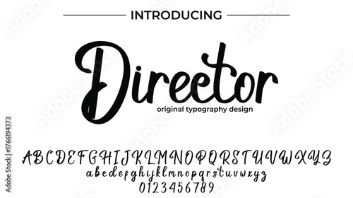 Director - Elegant Script Font for Smooth Handwritten Design and Creative Typography