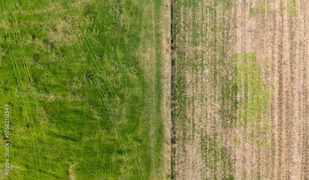 Naklejka premium A top down aerial view of a country road or path separating a lush green field from a dry harvested field a beautiful rural scene