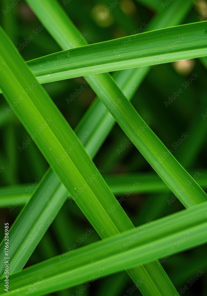 Obraz premium Lush verdant display of intersecting green tones creating an attractive, calming, and naturally focused backdrop ,palette ,foliage ,emerald