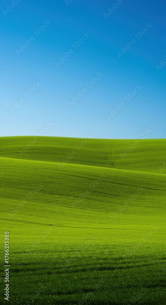 Obraz premium Rolling landscape featuring a smooth, verdant green hill slope under clear blue skies, highlighting the natural beauty of the peaceful countryside ,elevation ,curve ,terrain
