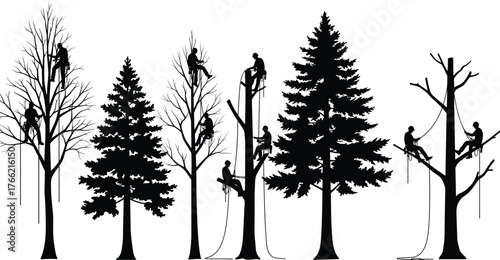 Tree climbers working with ropes and tools for pruning and cutting branches, forestry maintenance, cad drawing flat vector illustration